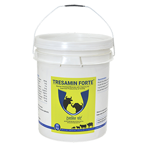 TRESAMIN FORTE