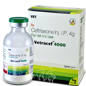 VETRACEF 4000