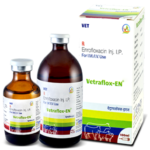 VETRAFLOX EN