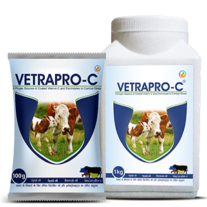 VETRAPRO C